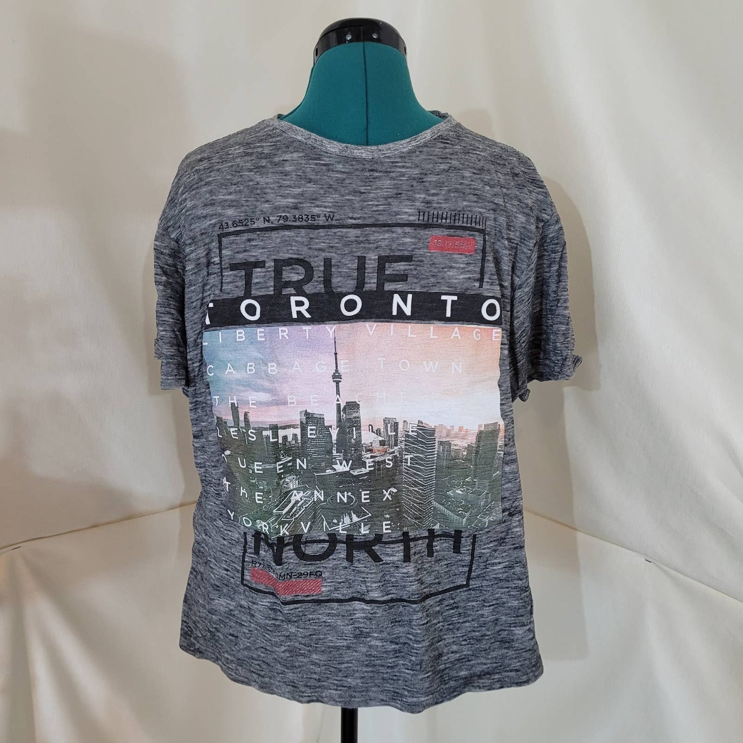 True North Toronto Gray Striped Shirt - Size Medium